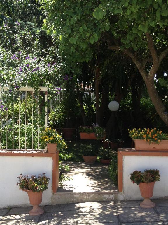 B&B Solacium Matera Kültér fotó