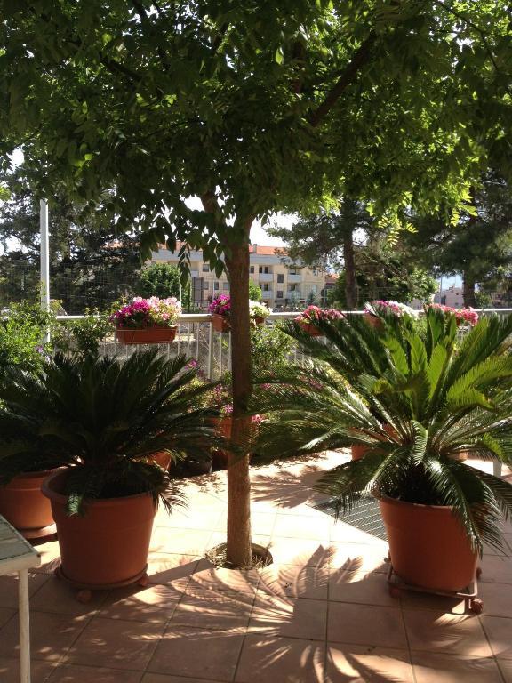 B&B Solacium Matera Kültér fotó